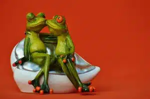 זוג צפרדעים מאוהבים