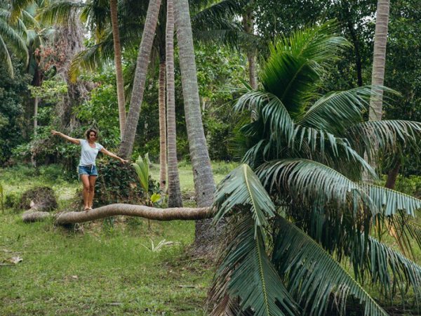 צעד צעד אל חוסר הוודאות (מיכל פולת הולכת על גזע של עץ קוקוס בתוך הג'ונגל בתאילנד)